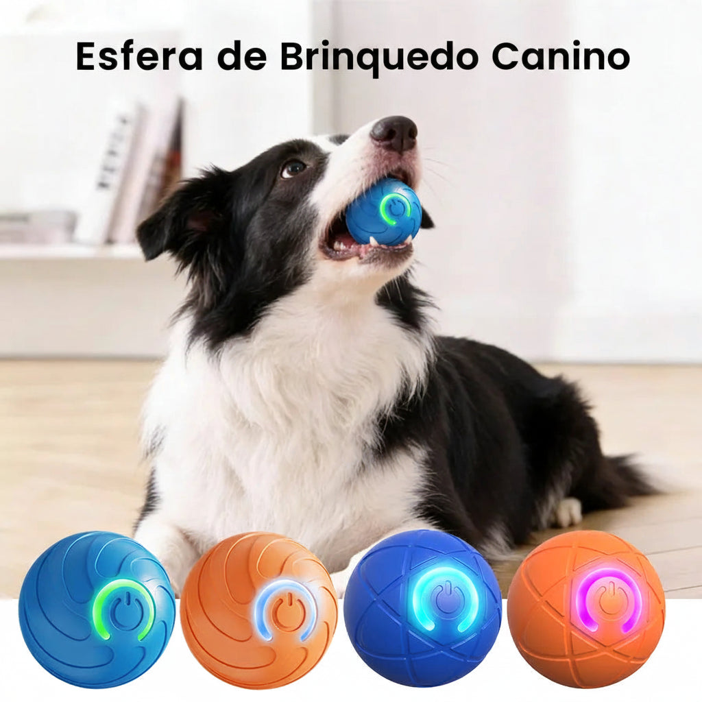 Bolinha Rolante Automática Recarregável para Cães e Gatos